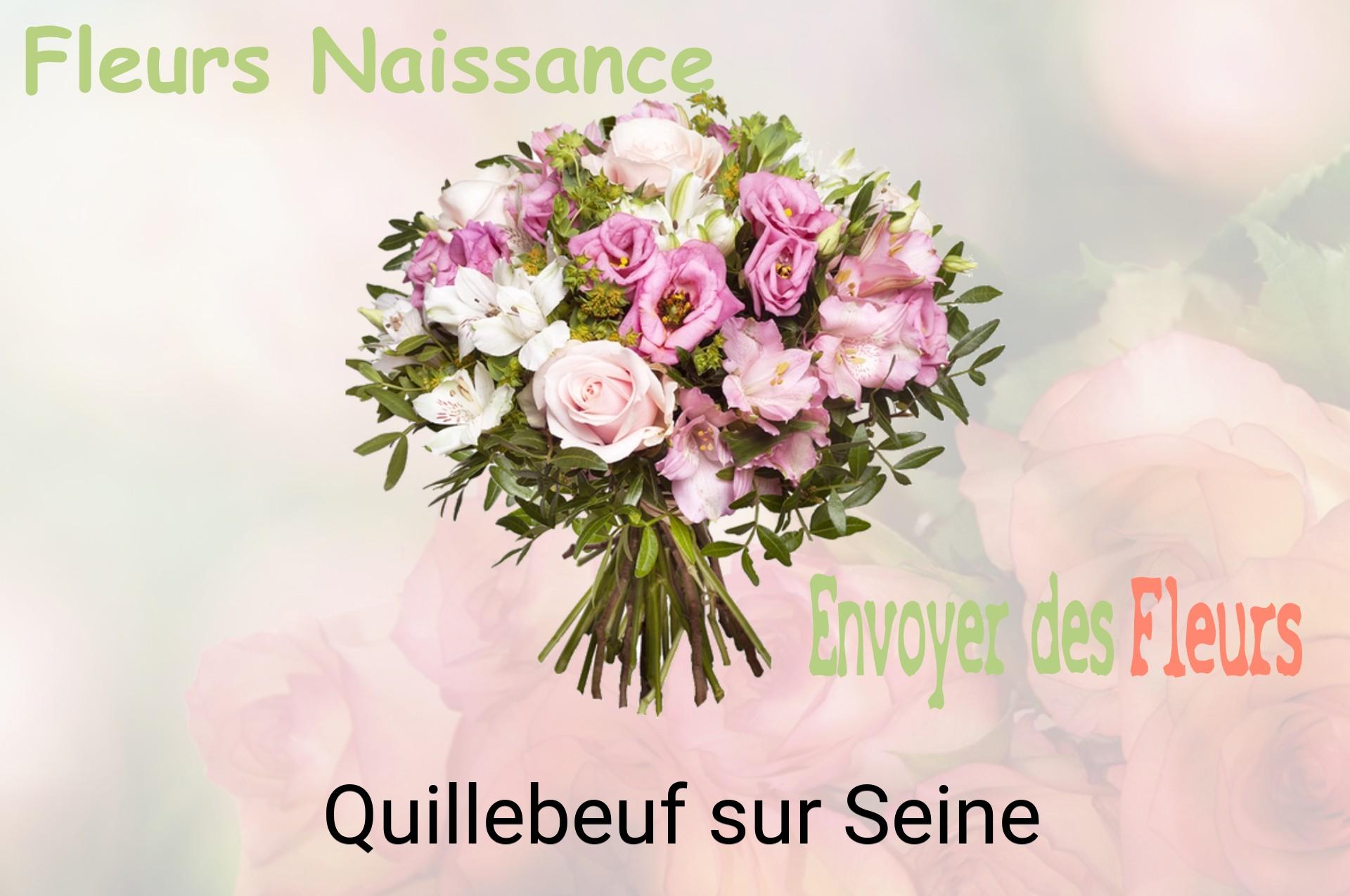 Bouquet de fleurs de naissance livré à Quillebeuf-sur-Seine
